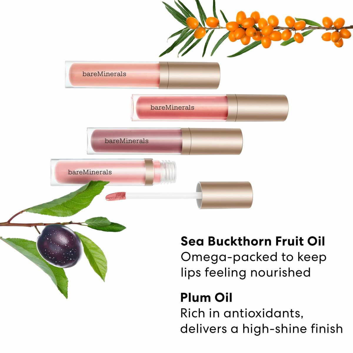 V4H934E9EA2326B2C0F3C3B6BC031B02C0FR7103436P3