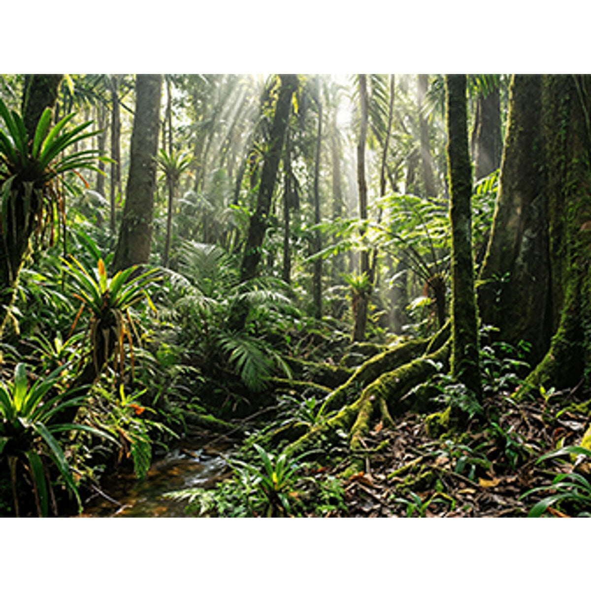 Hp Laptop Hp D4Dg6At#Abe 14" 32 Gb Ram 1 Tb Ssd