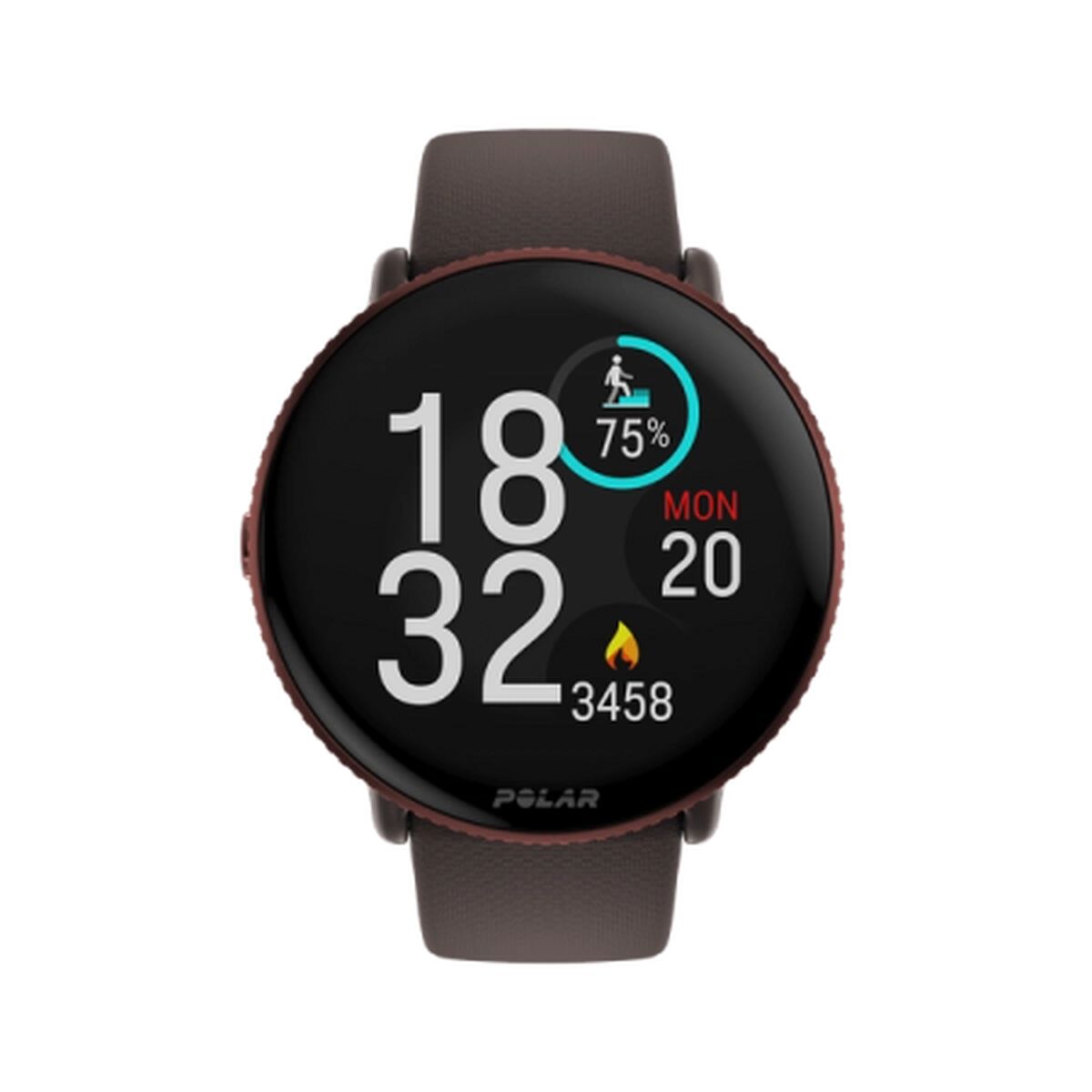 Polar Smartwatch Polar 900106604 Brown 1,28" 1,2" 43 Mm