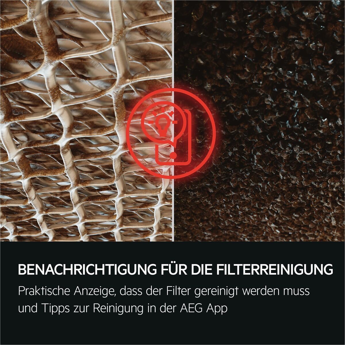 V2H8858B2087320CBA6D61FBECD0AB0F45CR7798536P10