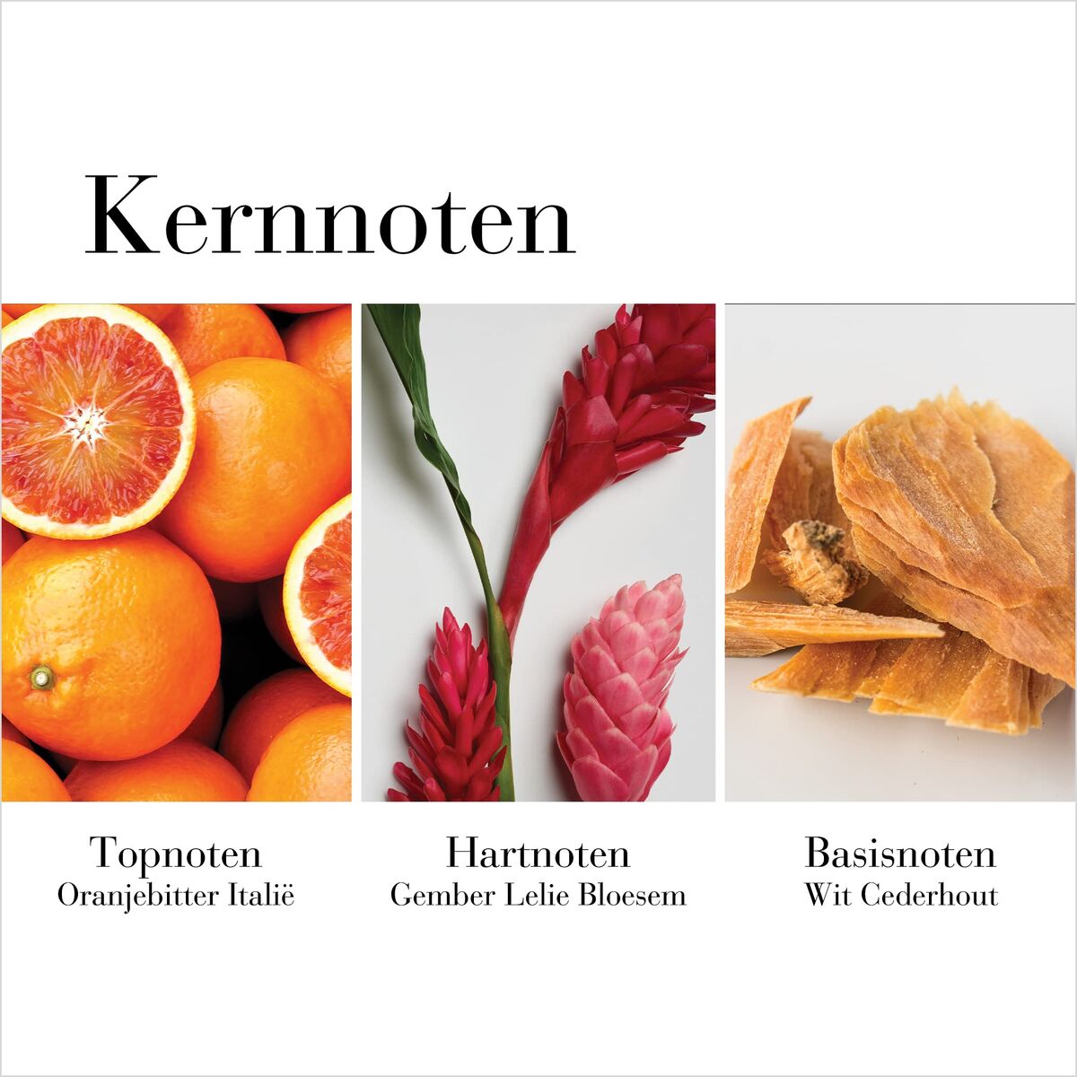 V2H3E8A358B0231F8E5EC5BFC8F6C6045DAR7744987P6