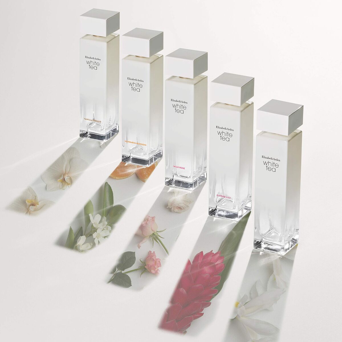 V2H2BFF705D9D399A9B1E706AC566968286R7744997P9