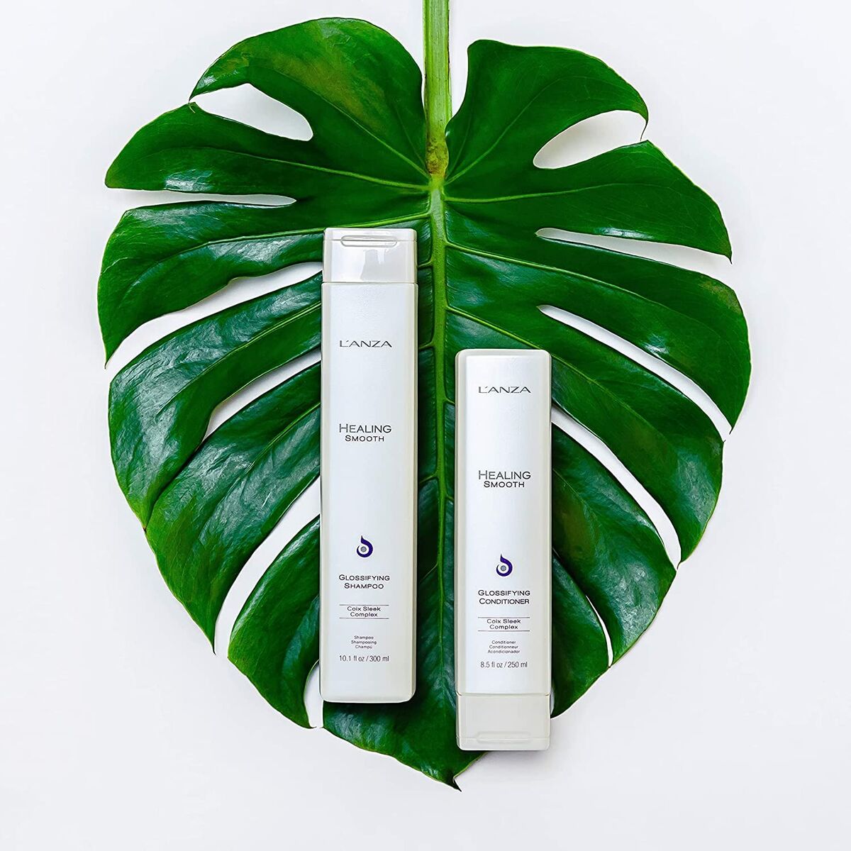 V6H07167916D76A4313827BC772EE39450FR4510227P4