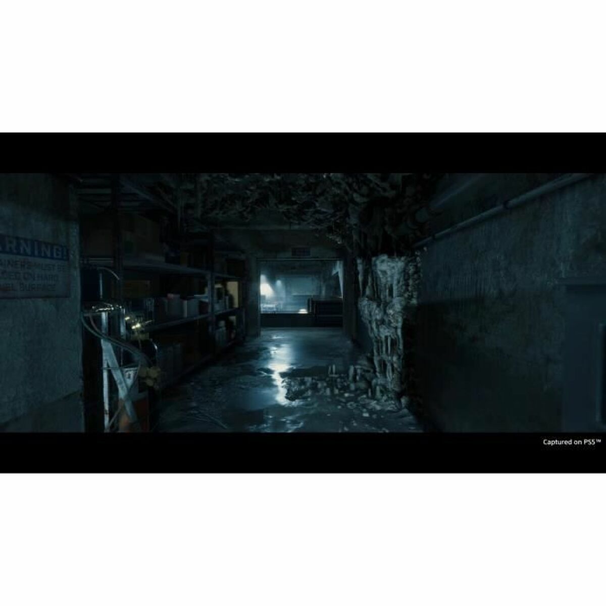 Sony Playstation 5 Video Game Sony Death Stranding