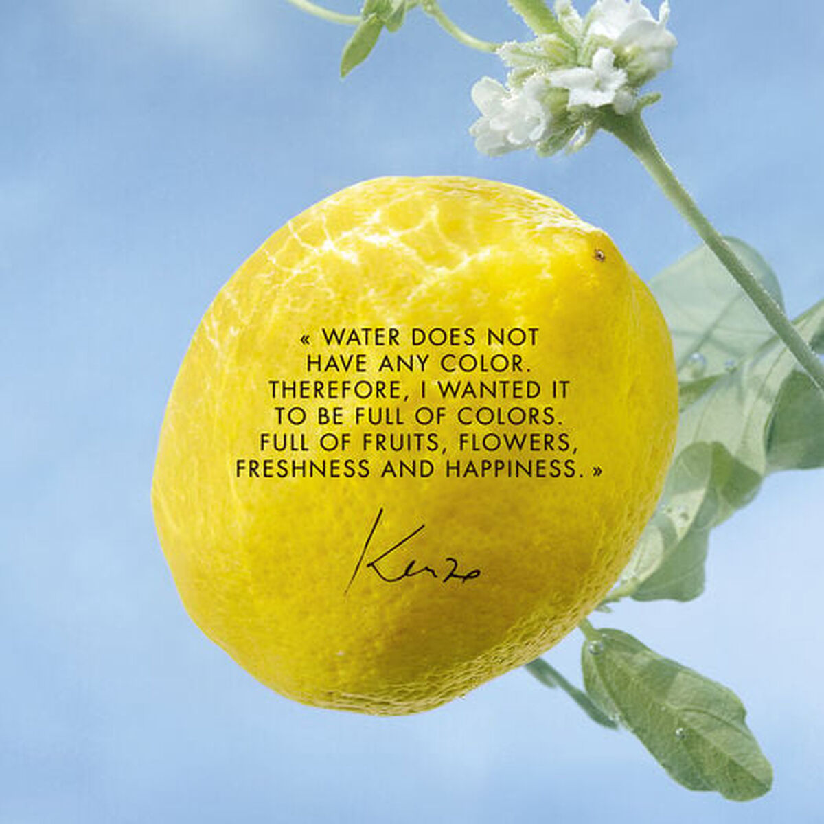 V5H67139E7395846C3EED38E31BC48749E3R6237859P2