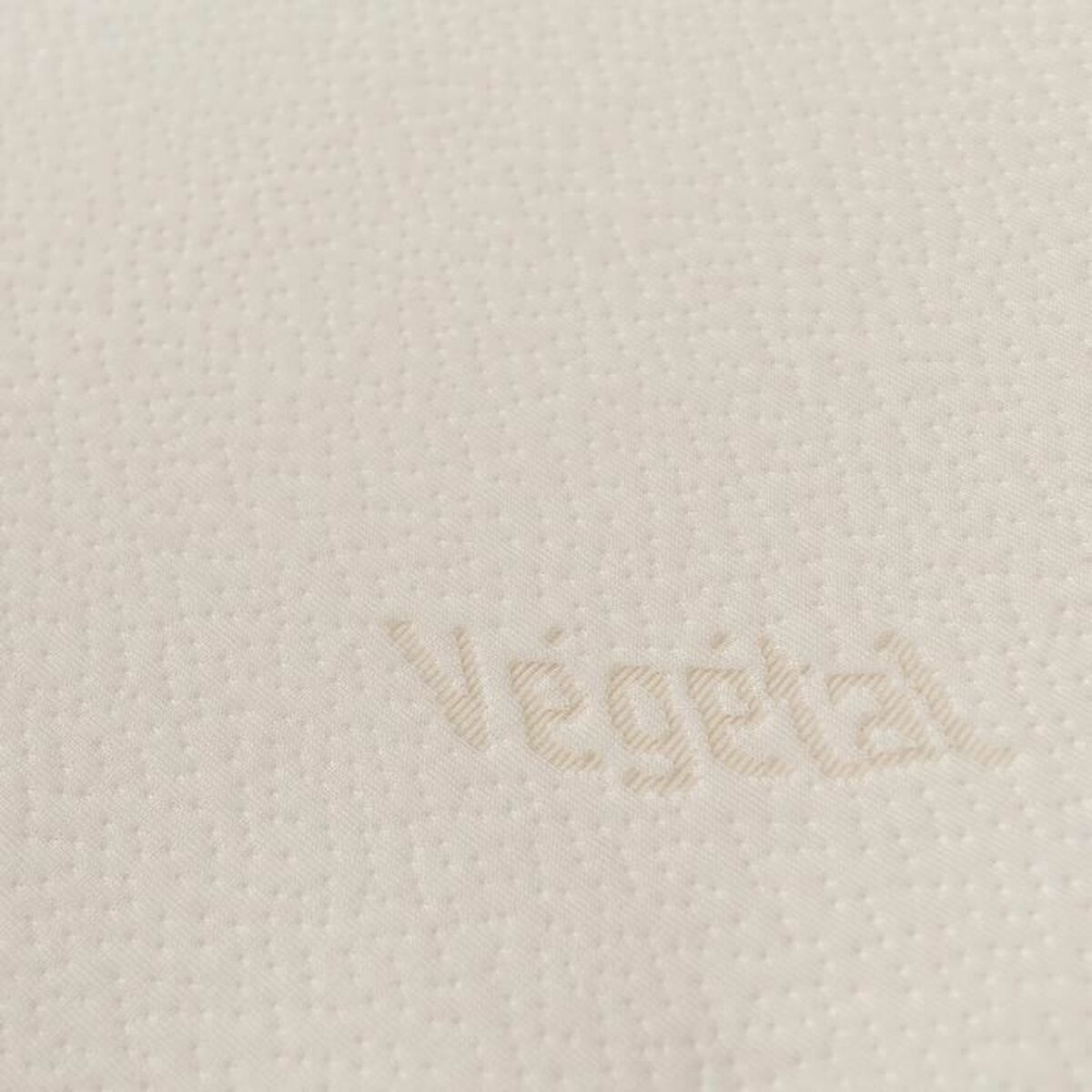 V6H92FEE1DE9C00FF9B65EB8E98D2BE644CR4997542P1