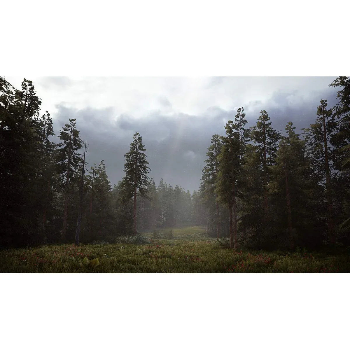 V2H87E6446A82097D9873FB41AFB7FBF114R7731693P9