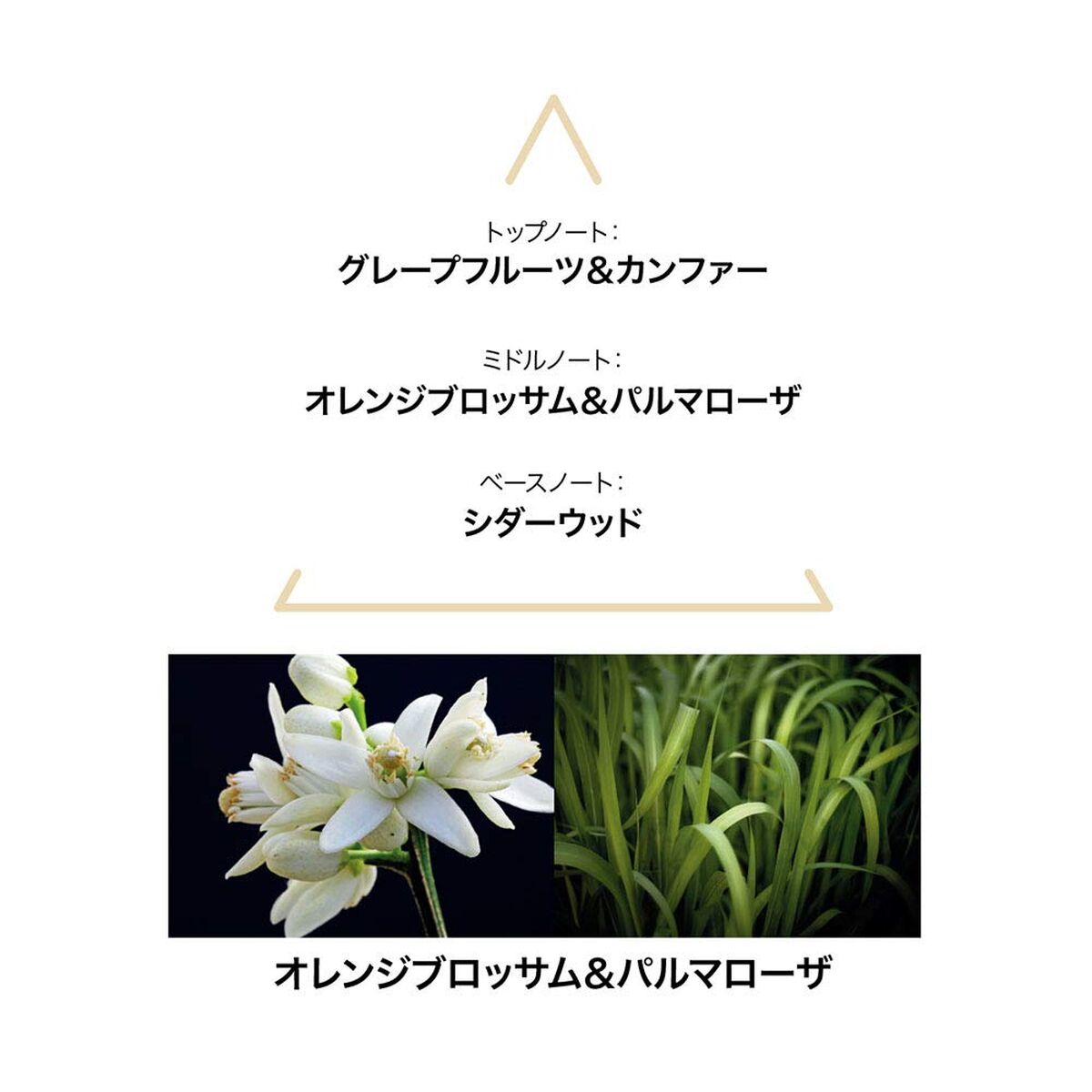 V2HC681232CBBFE2827B9B2E164708CD035R7744436P3