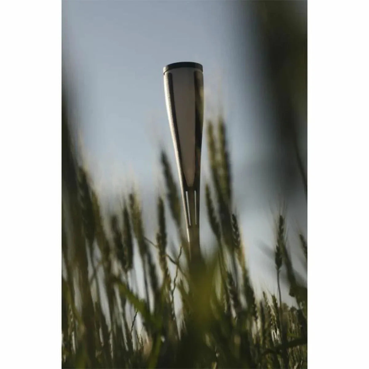 V6H2C41B2433CD6EDD15FDA56F3600DD080R5567713P2