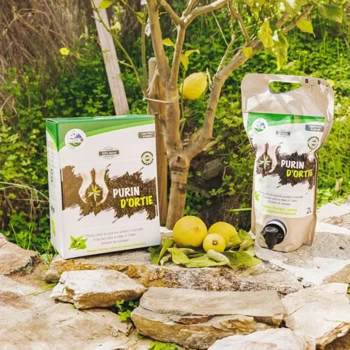 V5H910B65294F62035B1D4F55063EDF01B7R6067084P3