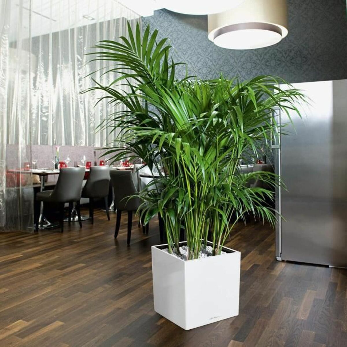 V7H8B62A9FED04D6161280174EBBA02ED80R7370380P3