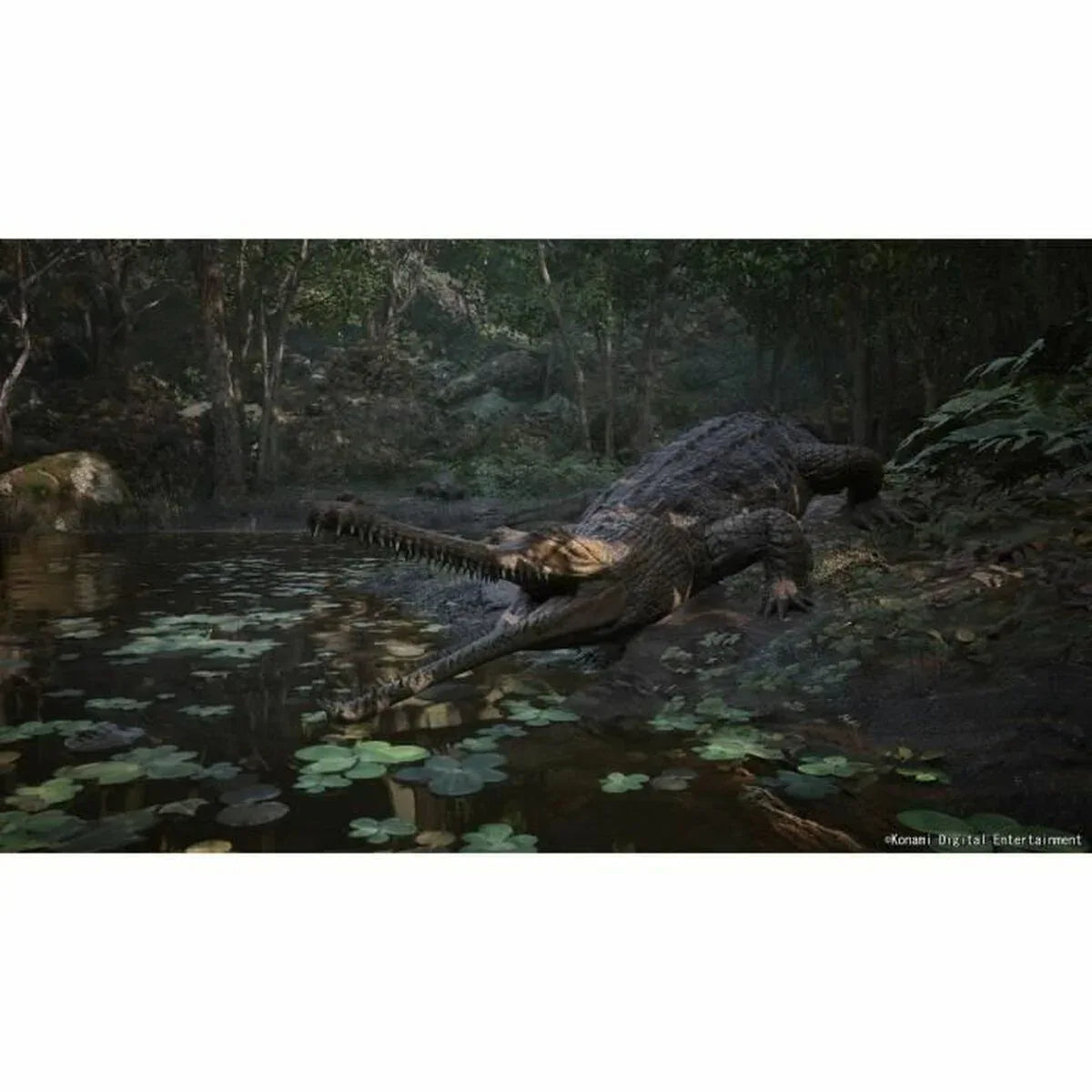 V4H36D6642095E7C12D1F32305A28246865R7049410P6