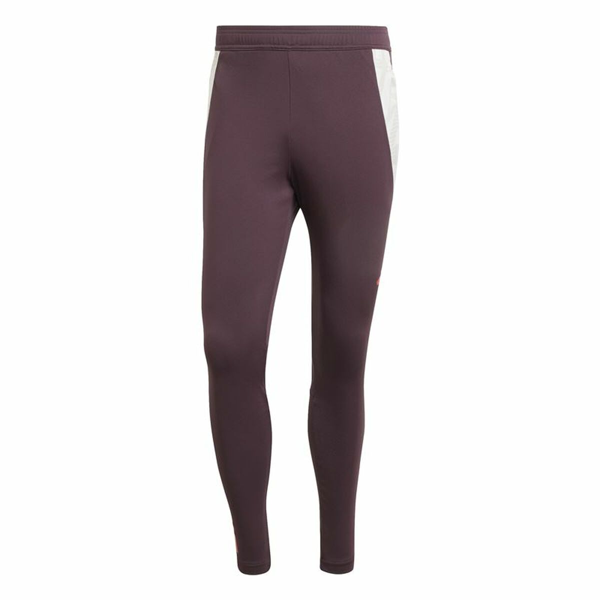 Long Sports Trousers Adidas Fc Bayern 24/25 Tiro24 Brown Maroon Men