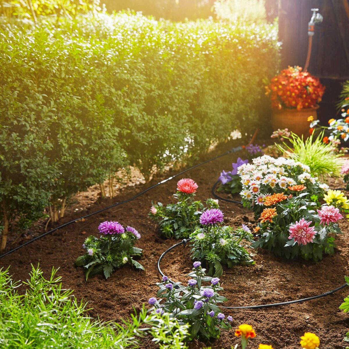 V6H15812A4687D0C3CBAE8C4AF1227AE9DER7162890P9