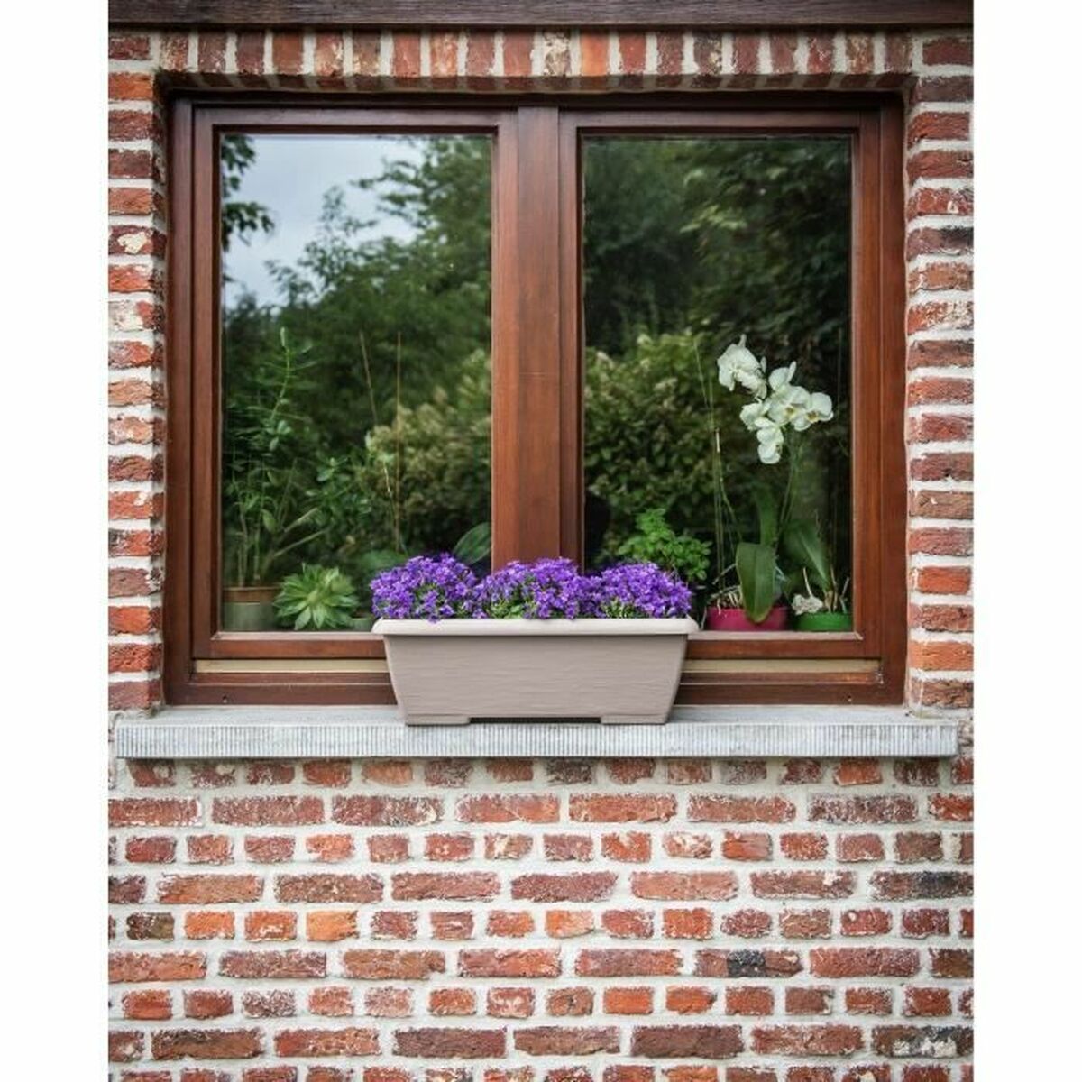 V6HCAEB49FD321A7892C572BF3B11EC4BE8R5453800P4