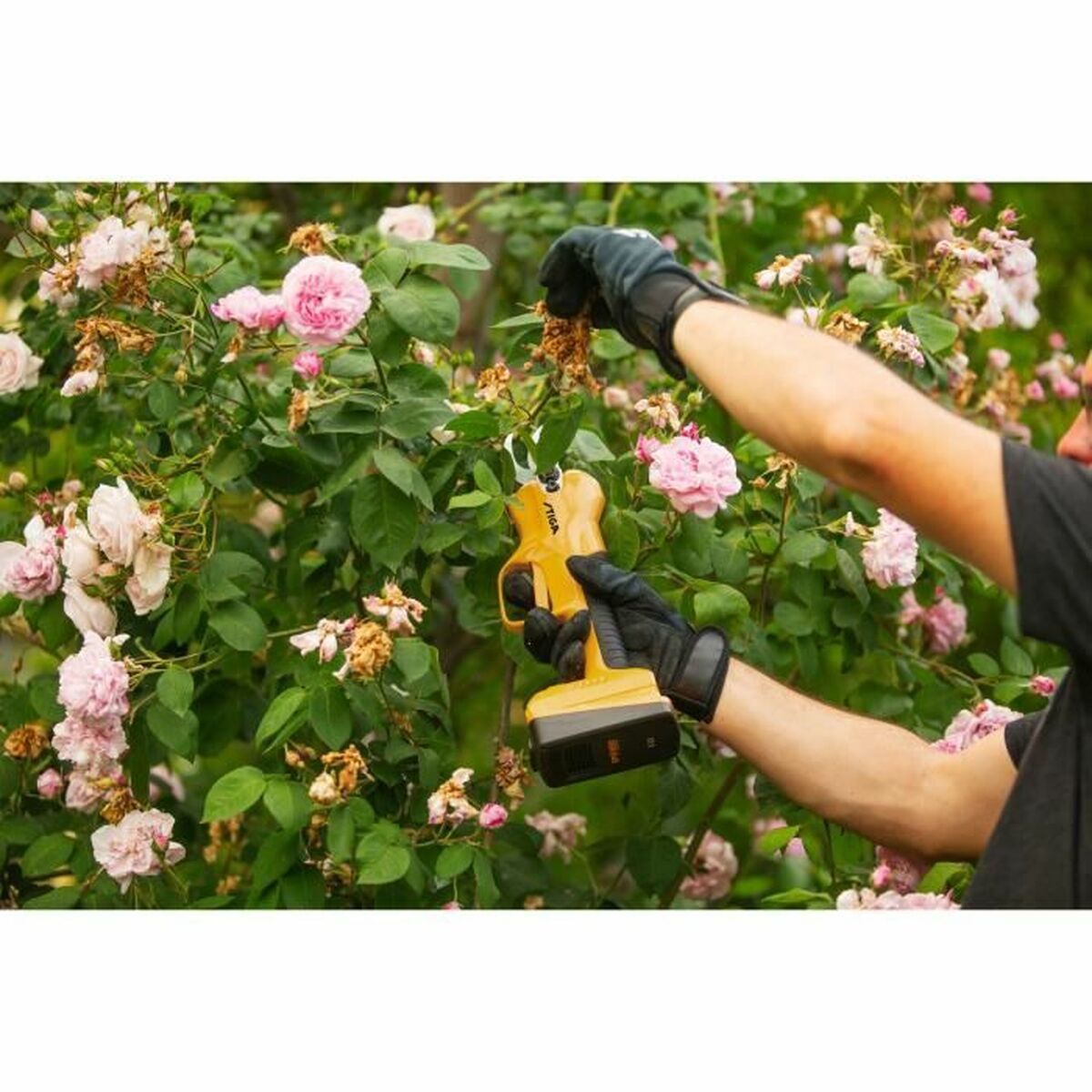 V8HC3A93FB876BB96C191D3D8618EEC8E4DR4095424P4