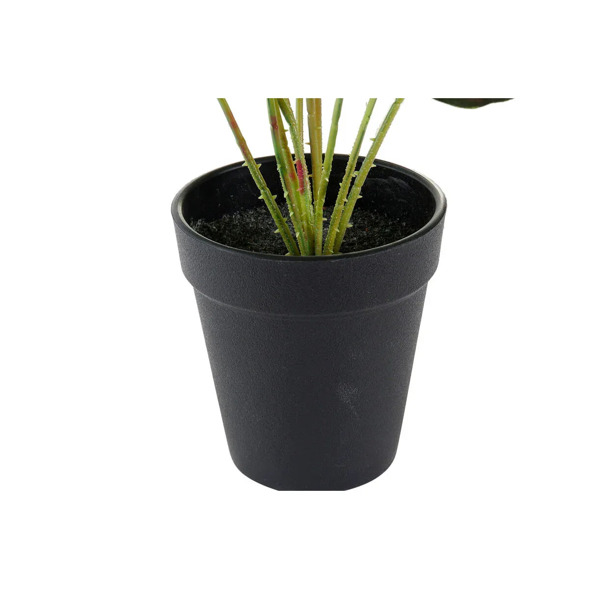 V8HC3A864DF66F9B665B947E010A87D09D5R5507089P3