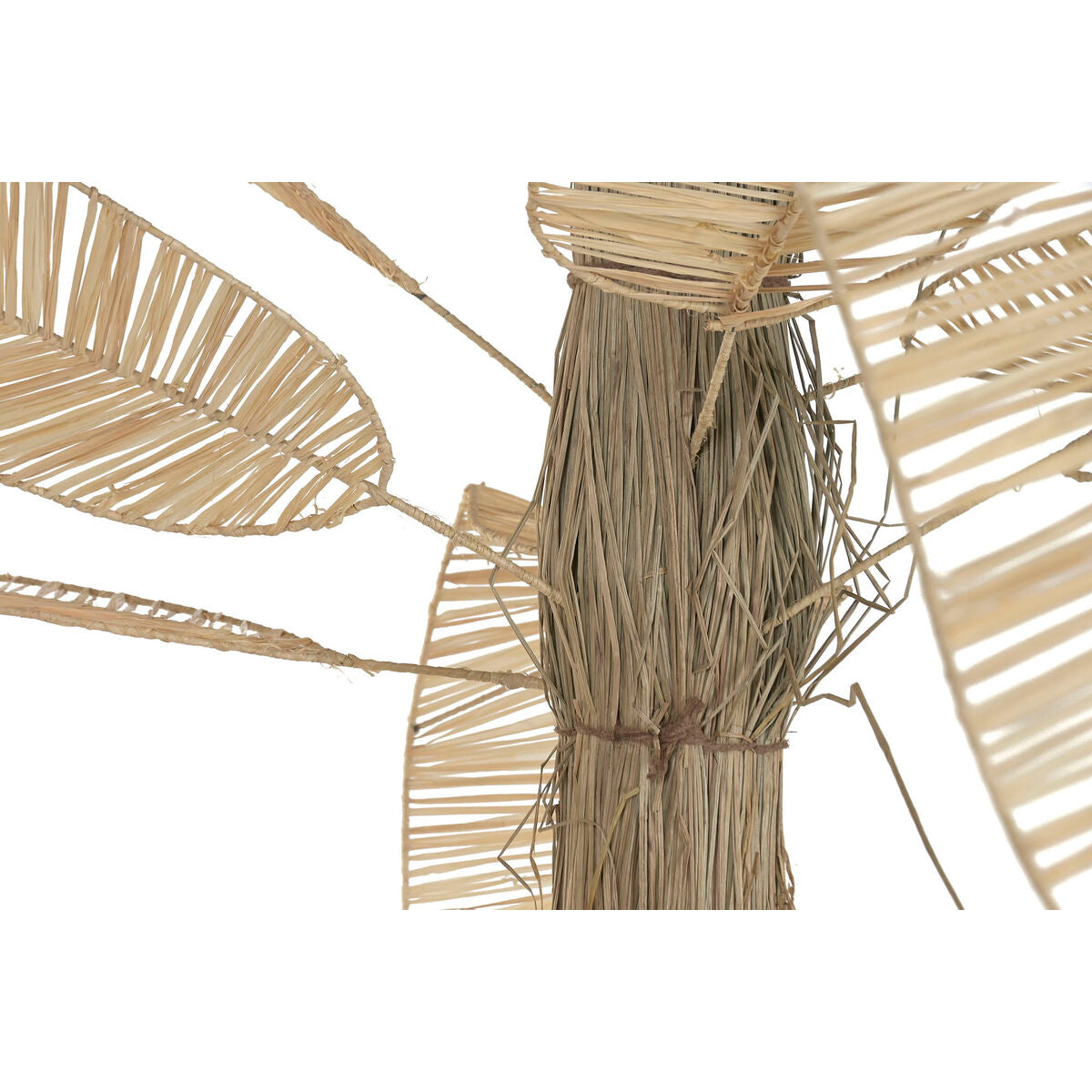 V2H5DC42201F80EA7AE9B58B3DADE73993ER7806896P3