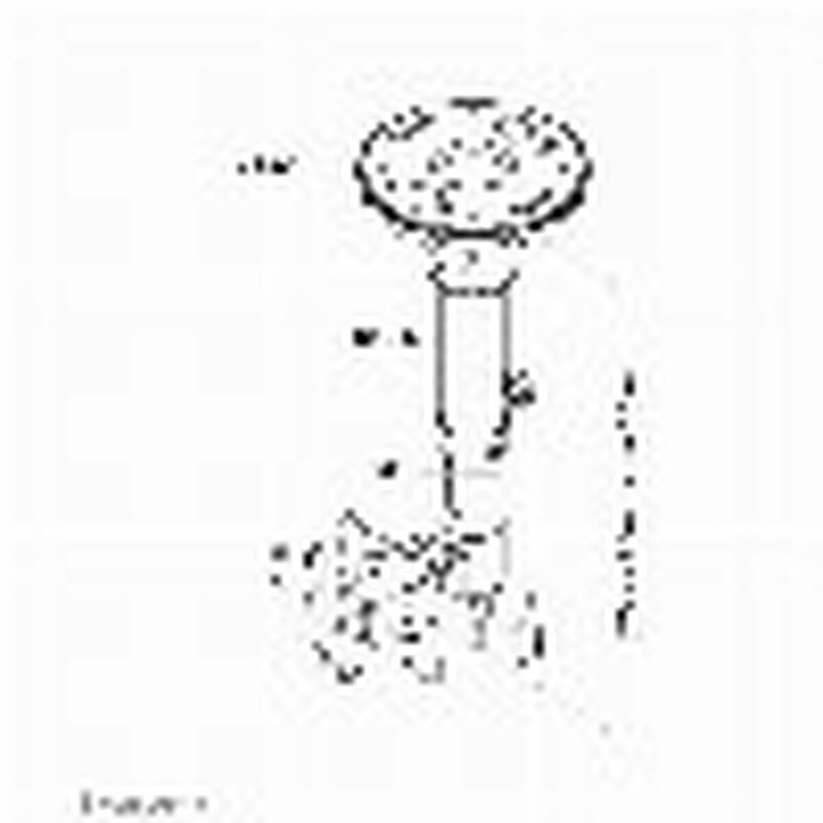 V5HEC8B293C3D6083B08332748C213BCD5BR5593314P9