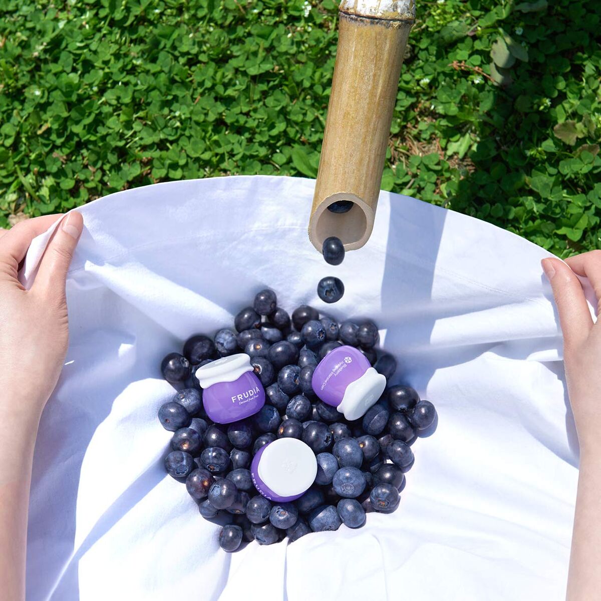 V2H414D76CC6D0C5BAB3DA7EADDC24C080ER7747039P2