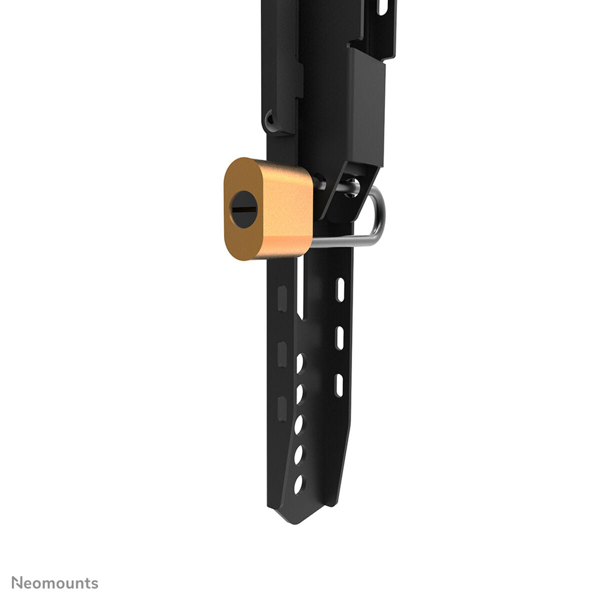 V6H5A43D484035B530559EB585B46A54062R5137762P7